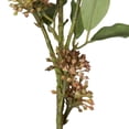 thumbnail image 2 of Vickerman 31" Penny Brown Artificial Wild Berry Spray, 2 per bag., 2 of 5