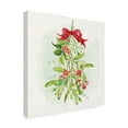 thumbnail image 2 of Trademark Fine Art 'Winter Blooms IV' Canvas Art by Sue Schlabach, 2 of 3