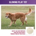thumbnail image 4 of Juego de 4 bolas para perros Chew King Glowing Fetch Ball, 4 of 7