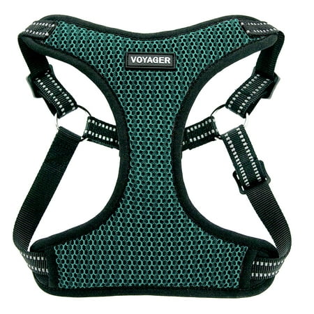 Voyager by Best Pet Supplies - Fully Adjustable Step-In Mesh Harness with Reflective 3M Piping, (Turquoise, (Best Wiring Harness For Telecaster)