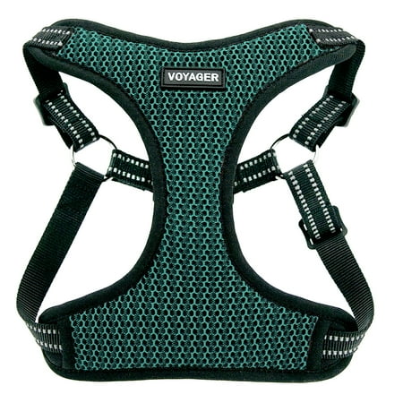 - Voyager by Best Pet Supplies - Fully Adjustable Step-In Mesh Harness with Reflective 3M Piping, (Turquoise, Small)
