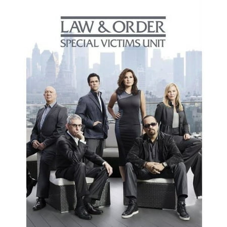 Law & Order Special Victims Unit: Year 14 (DVD)