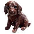 thumbnail image 1 of Fudge Chocolate Labrador Puppy, Small, 1 of 1