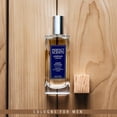 thumbnail image 2 of Perfume Instyle Fragrances Perfect Scents Le Male Platinum 100 ml, 2 of 5