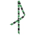thumbnail image 1 of INSPIRE CHIC Foulards à Rayures Fines pour Femmes, Longues et Étroites, Vertes, 1 of 6