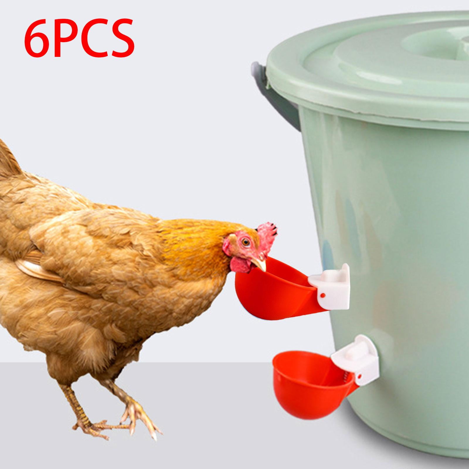 4 Chicken Water Drinker Cups + White PVC Fitting Poultry Hen Coop