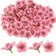 thumbnail image 1 of Uxcell 200-Pack Cabezas de Rosas Artificiales, Cabeza de Rosa de Seda Falsa para Boda/Ramo/Artesanías DIY/Decoración de Fiesta, Cabezas de Flores Falsas [Rosa], 1 of 1