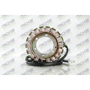Ricks Motorsport Electric - 21-128 - Stator
