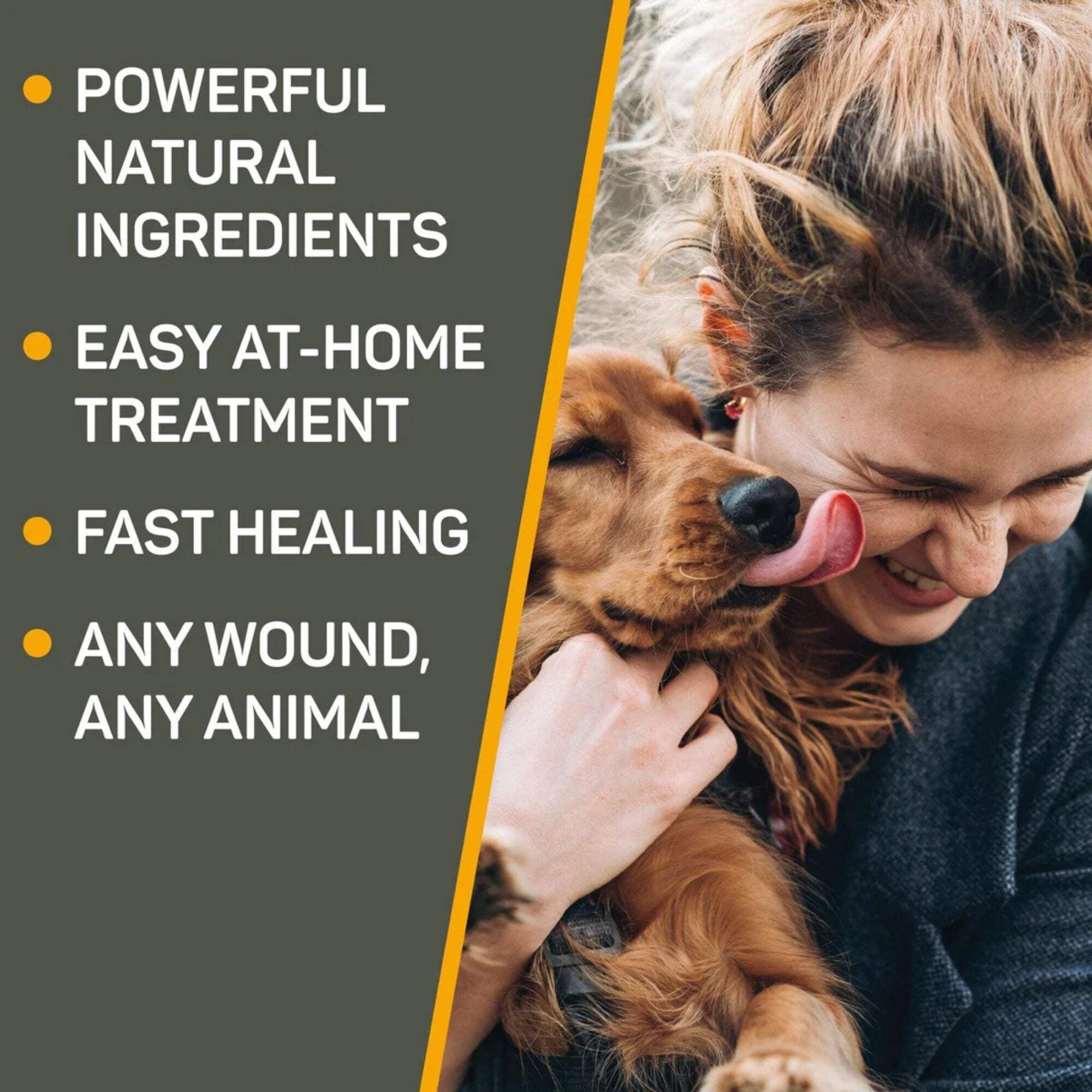 Absorbine Silver Honey Hot Spot & Wound Care Ointment, Medicated Skin Care for Dogs, Cats, Small Animals