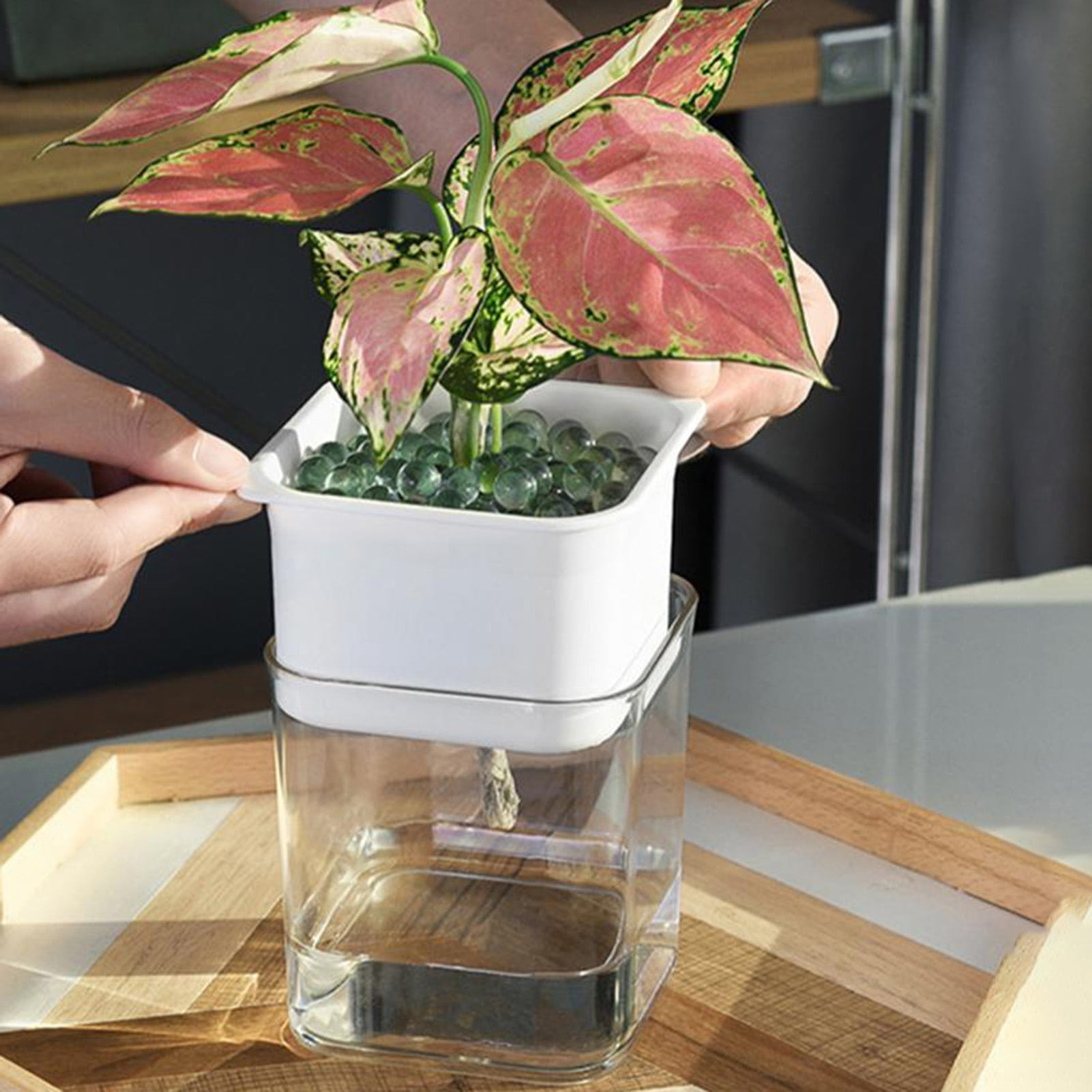 Self Watering Ceramic/Glass Jar African Violet Flower Pot-Plant Area 3.5" x 2.5" 