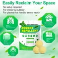 thumbnail image 2 of Rodent Repellent, Mice Repellents, Rat Repellent for House, Mouse Repellent, RV Rodent Repellant, Peppermint Oil to Repel Mice and Rats, Rat Deterrent, Keep Mice Away for Indoor-10 Packs, 2 of 6