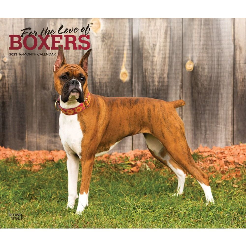 Boxers For the Love of 2023 Deluxe Wall Calendar