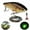 A, variant on Abziyat Fishing Lure Bait Swimbait Vibration Electric Minow USB Charge Wobblers Flashing LED Light 3.1inch Vivid Fish