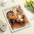 thumbnail image 3 of DIY 5D Diamond Painting Kit (for Adults) Diamond Painting "Two Horses" Full Diamond Crystal Rhinestone Embroidery Craft Kit Home Wall Decoration Gift, 3 of 7