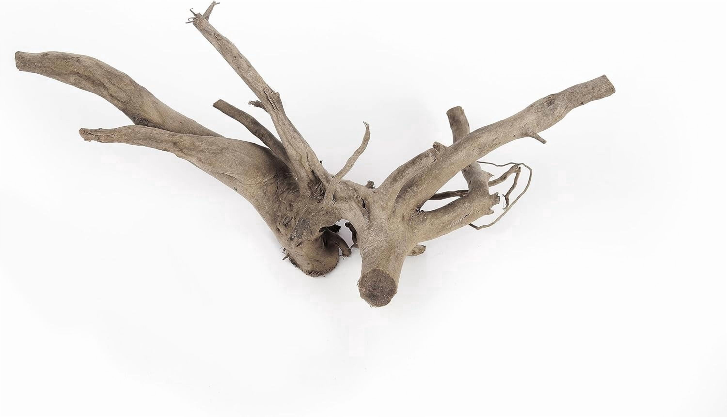 Natural Spider Wood Driftwood Branches for Aquarium Decoration (12-16 Inch, XL, 4 Pieces)