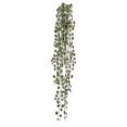 thumbnail image 1 of Hanging Mini Creeping Charlie Vine Faux Plants And Trees, 1 of 1