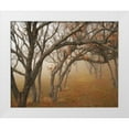 thumbnail image 3 of Vitaly Geyman 18x15 White Modern Wood Framed Wall Art Titled - Misty Oaks II, 3 of 5