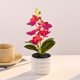 thumbnail image 5 of Orquídea Phalaenopsis Artificial, Decoración de escritorio de oficina boda, rojo rosa, 5 of 6