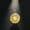 Gold Color, variant on Pentagram Crescent Necklace Sakura Magic Circle Sun Moon Star Magic Array Good Luck Amulet 14K Yellow Gold Jewelry