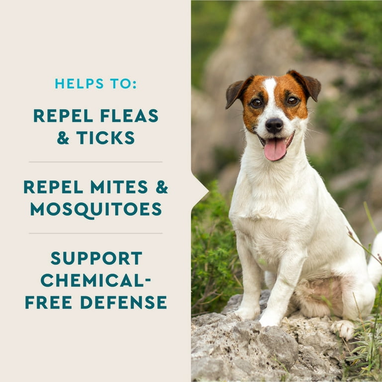 VetIQ Flea & Tick Supplement for Dogs, Hickory Smoke Flavored Chews, 60 Count