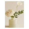 thumbnail image 3 of Thymes Goldleaf Diffuser, 3 of 6
