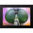 thumbnail image 2 of Ghizzi Panizza, Alberto 14x11 Black Modern Framed Museum Art Print Titled - Amazing Eyes, 2 of 5