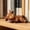 C, variant on Gallickan Resin Highland Cow Statue with Wine Glass, Cute Tabletop Decoration for Bookshelf Office Home, Durable Animal Figurine, Style C