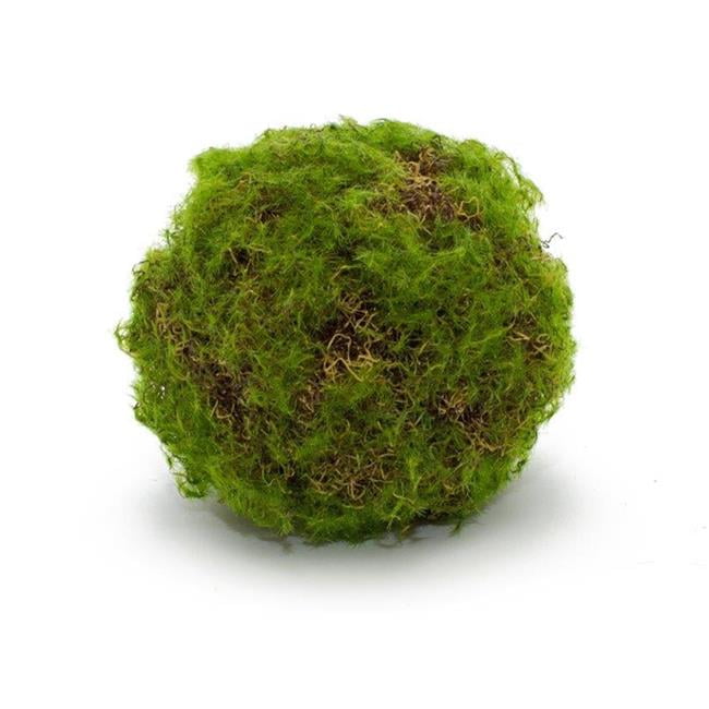 Moss Ball (Set of 4) 4.75"D Plastic