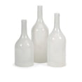 thumbnail image 1 of IMAX Corporation Monteith 3 Piece Cloche Bottle Set in White, 1 of 1