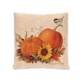 thumbnail image 1 of 18 x 18 in. Harvest Pumpkin Pillow Cover, 1 of 1