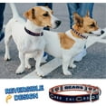 thumbnail image 3 of Pets First Chicago Bears Reversible Collar Reversible NFL Dog Collar Premium Two-Sided Pet Collar with NFL Logo, Medium, 3 of 6
