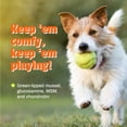 thumbnail image 5 of Pet Naturals Hip + Joint Pro Antioxidant Chewables for Dogs, Duck Flavor, 60 Count Pouch, 5 of 7