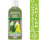 thumbnail image 2 of Shampoo VivoNatural con Extracto de Sábila de 1 litro, 2 of 6
