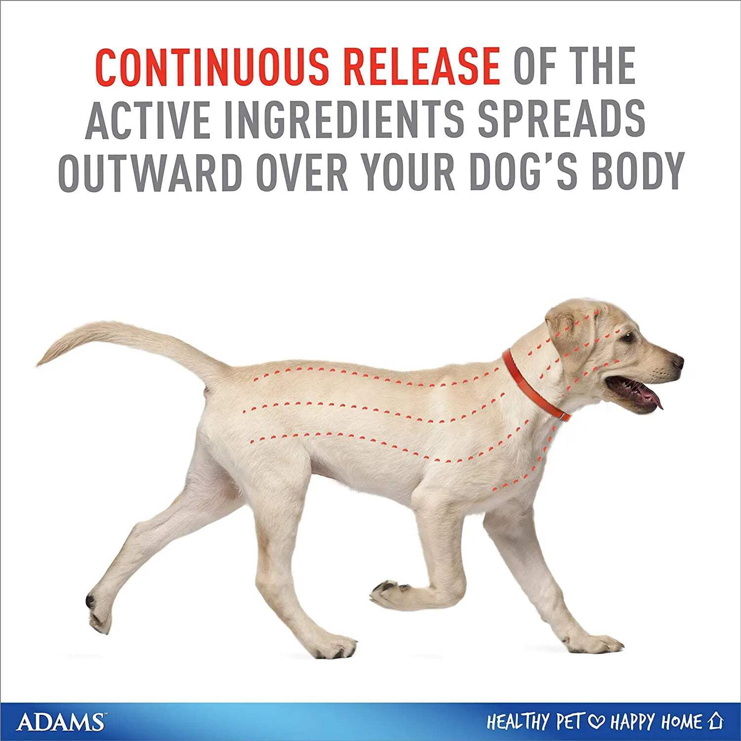 Adams Plus Flea  Tick Collar for Small Dogs  Puppies 3-Pack