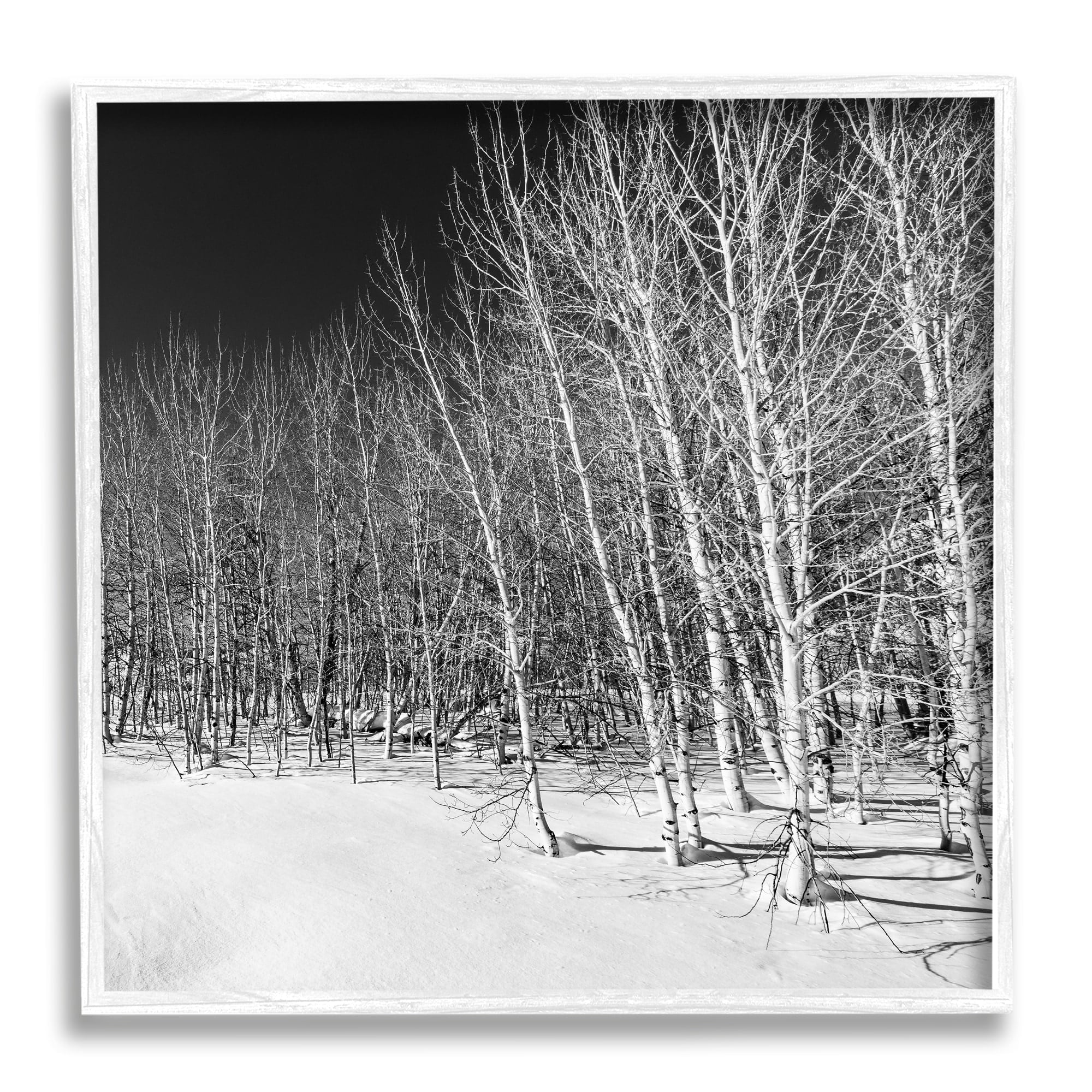 Stupell Industries Mysterious Snowy Forest Looming Nighttime Birch Trees Photograph White Framed Art Print Wall Art, Design by Steve Smith