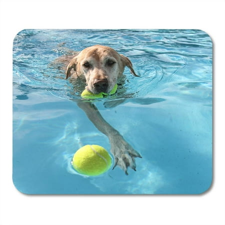 KDAGR Yellow Labrador Dog at Local Public Pool Blue Summer Lab Ball Best Mousepad Mouse Pad Mouse Mat 9x10