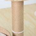 thumbnail image 7 of PetPals 29"H 2-Lvl Cat Tree with Handwoven Basket Beds, Sisal Scratching Post, Washable Cushion, 7 of 7