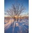 thumbnail image 3 of Telón de fondo ABPHQTO 150x220cm de invierno Navidad Paisaje cubierto de nieve Selva Bosque, 3 of 3