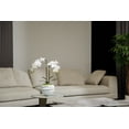 thumbnail image 3 of 23" Faux White Orchid Flower Arrangement | Realistic White Floral Display by Fiori Sempre, 3 of 7