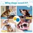 thumbnail image 4 of Juguete para perros HIPPIH Indestructible Squeaky Balls, paquete de 2 unidades para perros, 4 of 8