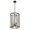 thumbnail image 2 of Nuvo Lighting - Payne-4 Light Foyer-14 Inches Wide by 20.75 Inches High, 2 of 6