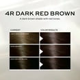 thumbnail image 4 of John Frieda Brown Permanent Precision Foam Hair Dye Kit, 4R Dark Red Brown Color, 1 Application, 4 of 9