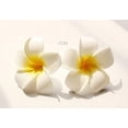 thumbnail image 2 of Espuma artificial Plumeria Rubra cabezas de flores Frangipani decoración de la boda flores Plumeria cabeza de flor/flor de espuma de Plumeria hawaiana, 2 of 6