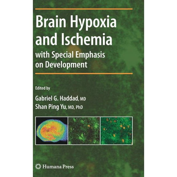 Contemporary Clinical Neuroscience Brain Hypoxia and Ischemia, (Hardcover)