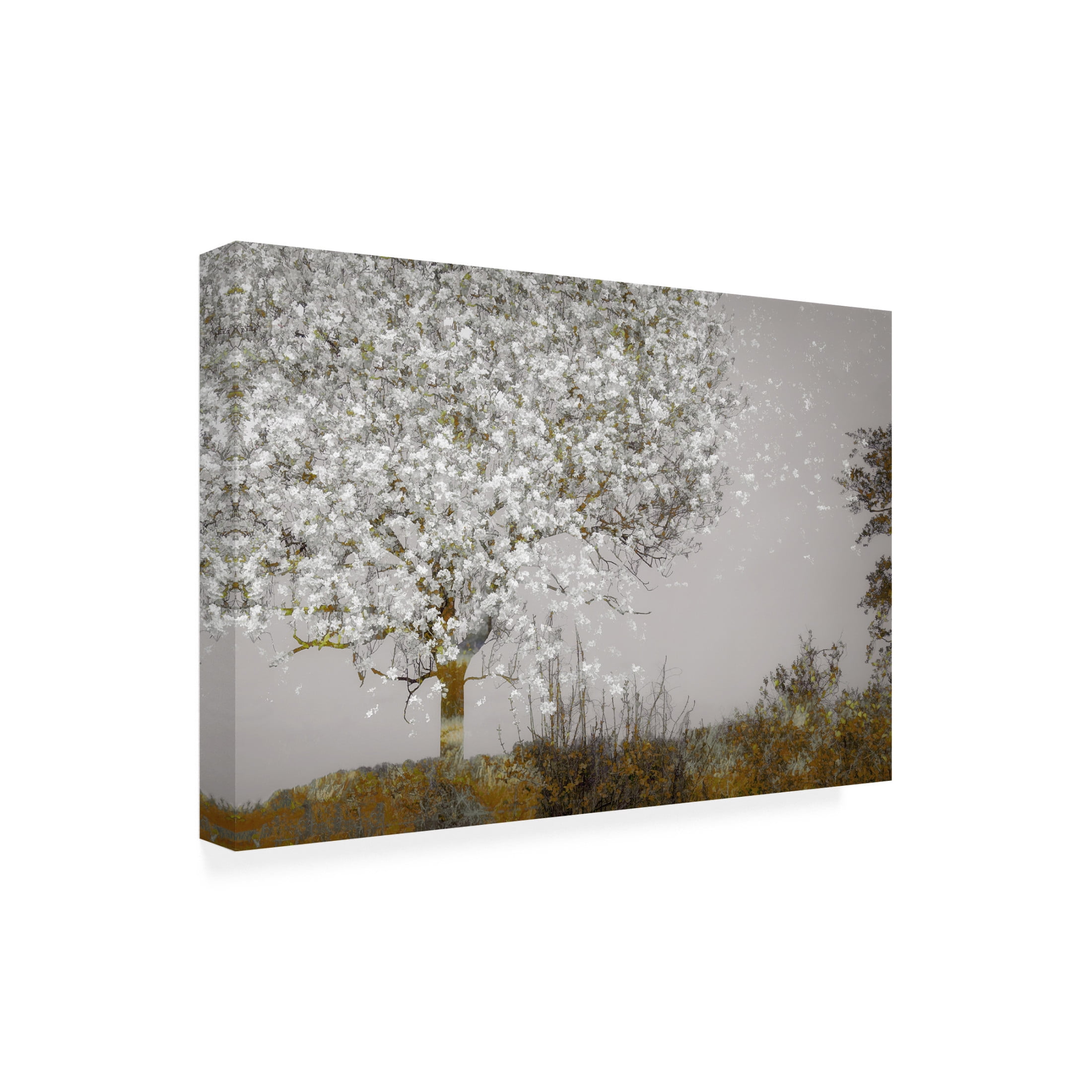 Canvas Wall Art - Hari Sulistiawan 'Fruit Tree' Wall Art for Living Room, Bedroom, or Office Décor by Trademark Fine Art - 19 x 12 Inches