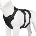 thumbnail image 1 of Traction rope,- Harness No Harness Medium - Medium Vest Chest No Harness Adjustable Chest At Safety Medium Chest - With Medium Pet - Chest Medium Harness At Chest Harness Adjustable Chest Rope At Pet, 1 of 6