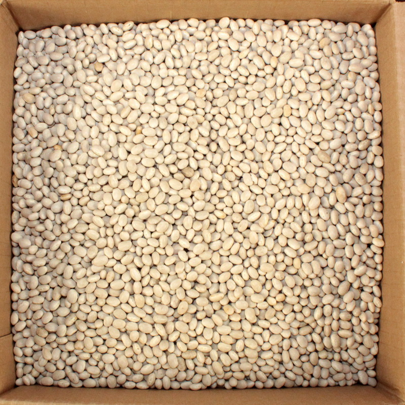 Navy Pea Beans 20 Pounds Per Pack 1 Per Case
