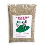 Canada Green Grass Seed 4 Lb. Bag, Fast Growing Grass Seed, Sun & Shade
