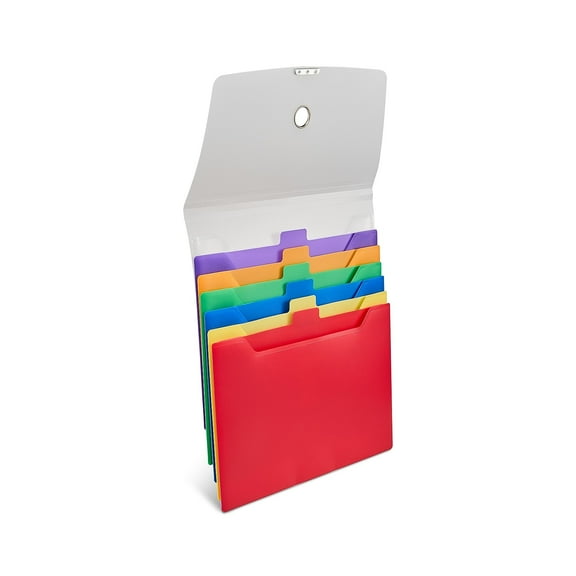 Staples Plastic Accordion File 6-Pocket Letter Size Multicolor (TR51848)