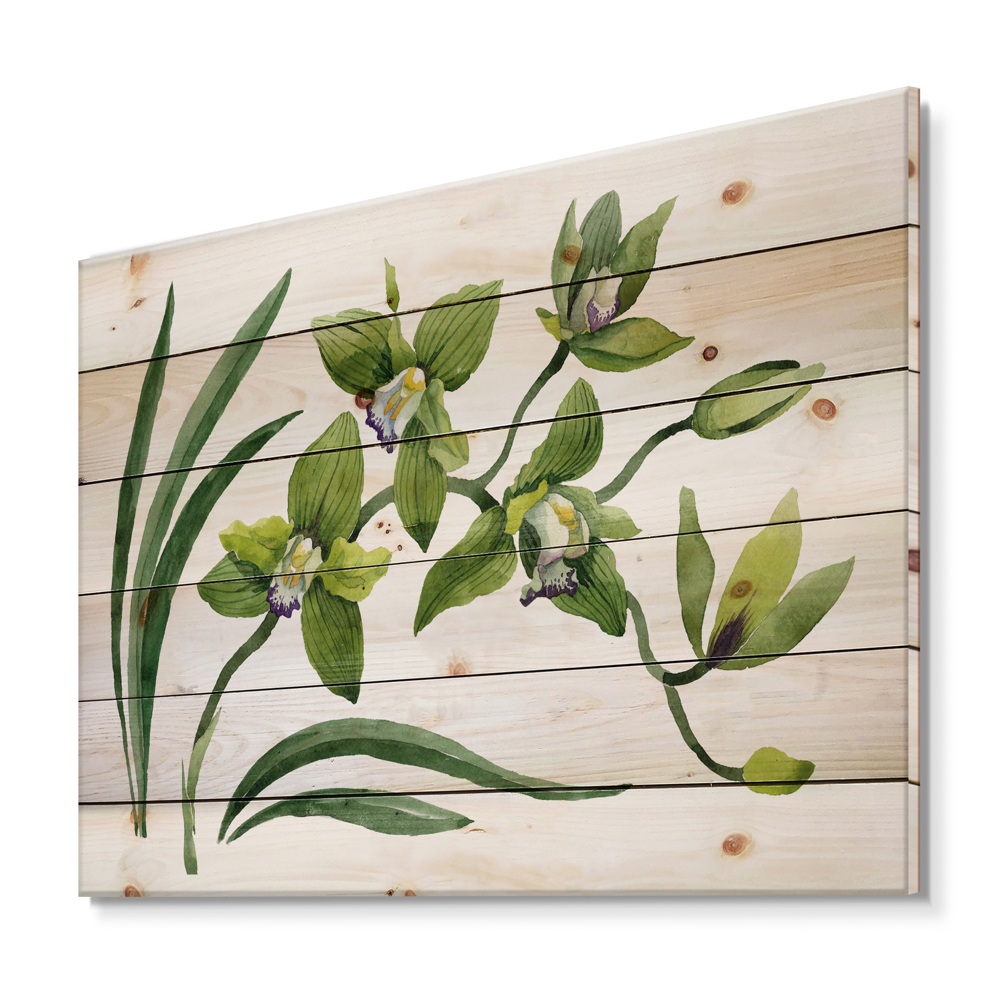 Designart 'Green Orchid Flowers On White' Traditional Print on Natural Pine Wood